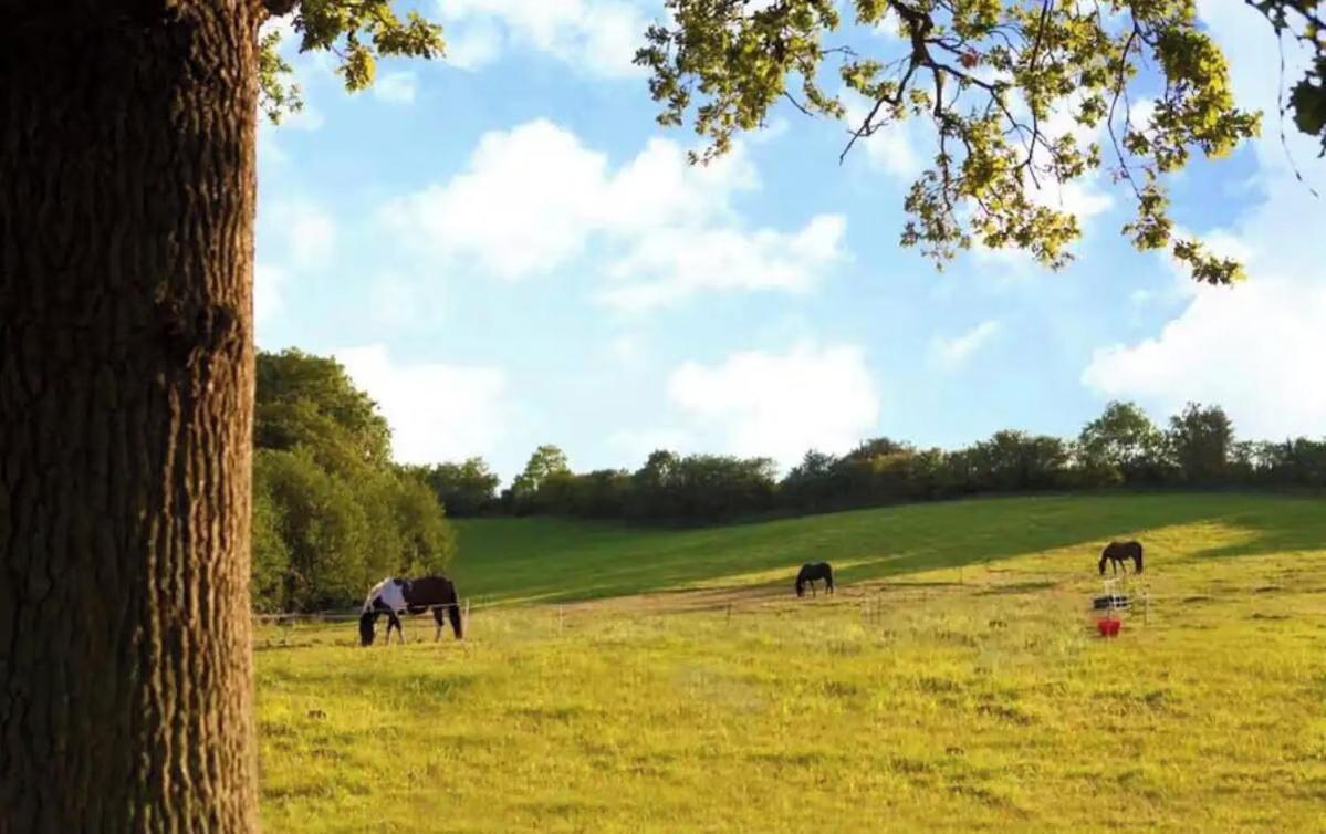 Luxury Country House With Hot Tub In Malvern Sleeps 6 To 8 Award Winning Pet Friendly Mathon Eksteriør bilde