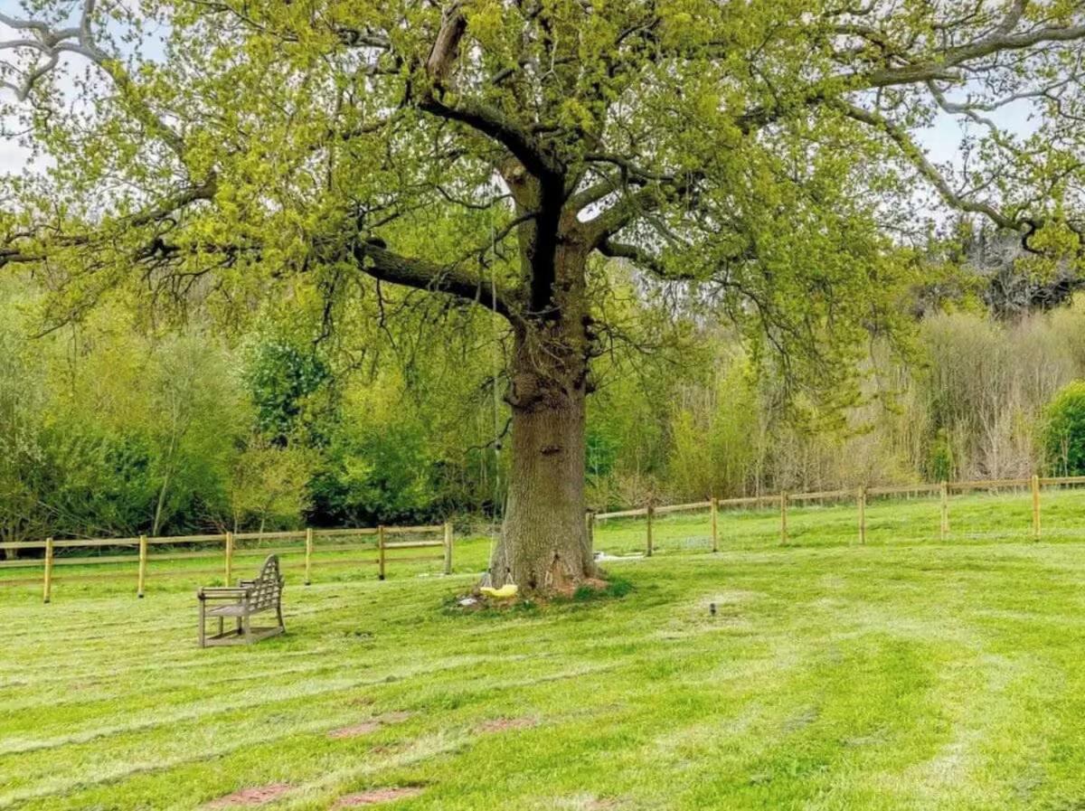 Luxury Country House With Hot Tub In Malvern Sleeps 6 To 8 Award Winning Pet Friendly Mathon Eksteriør bilde